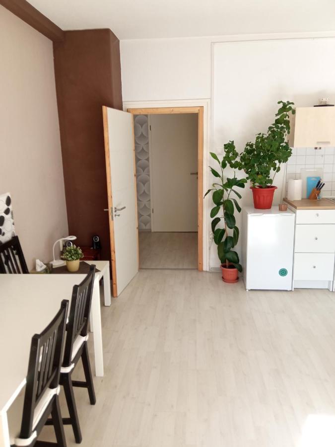 Free Parking, Balcony, Near To City Park ブダペスト エクステリア 写真