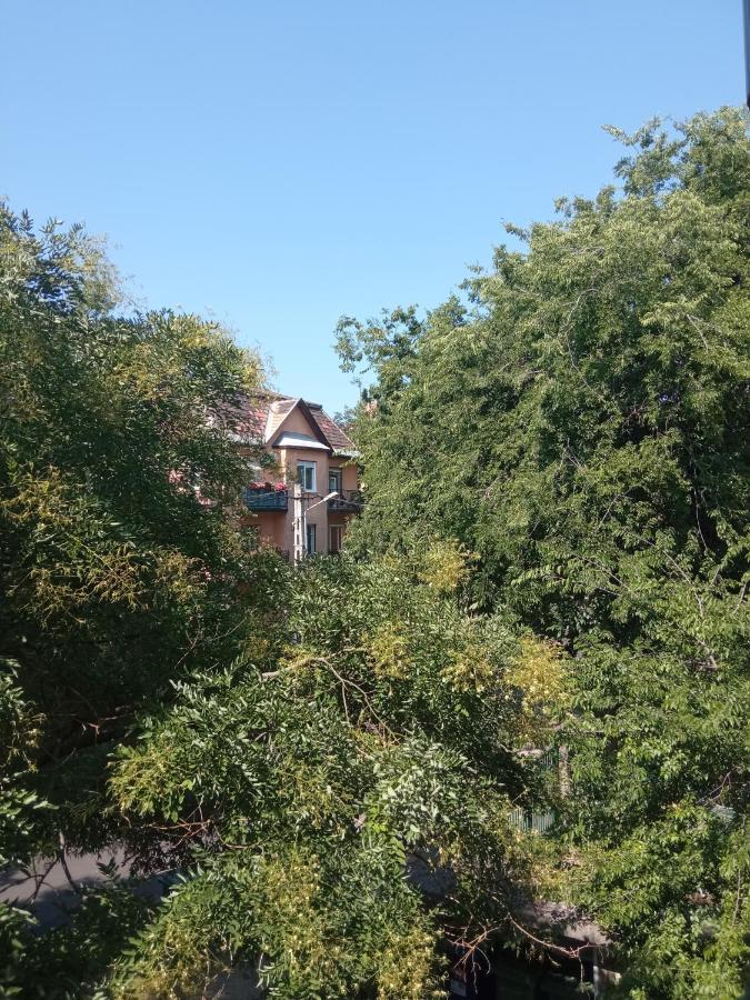 Free Parking, Balcony, Near To City Park ブダペスト エクステリア 写真