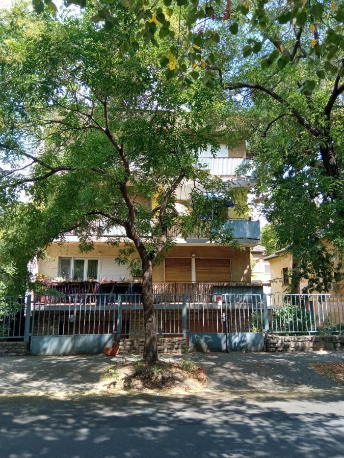 Free Parking, Balcony, Near To City Park ブダペスト エクステリア 写真